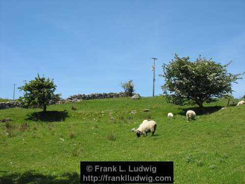 Ox Mountains, County Sligo and County Mayo